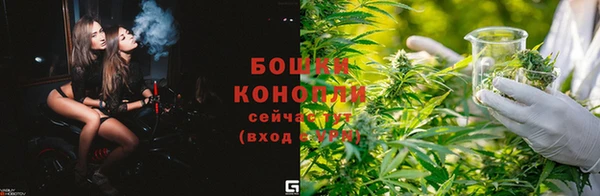 гидропоника Инта