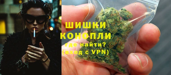 мдпв Каменка