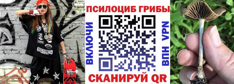 Псилоцибиновые грибы Psilocybine cubensis  Купить где  Кашира 